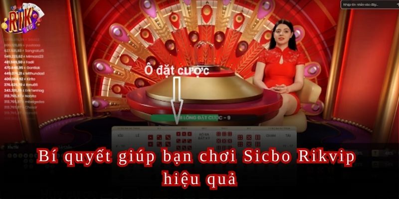 Thế giới cá cược Sicbo đa dạng đang chờ bạn khám phá