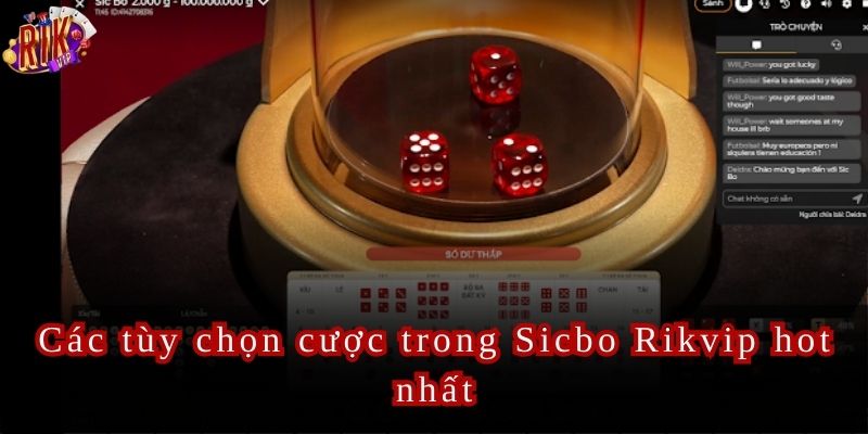 Đặt cược thông minh, nhận thưởng hấp dẫn ngay hôm nay!