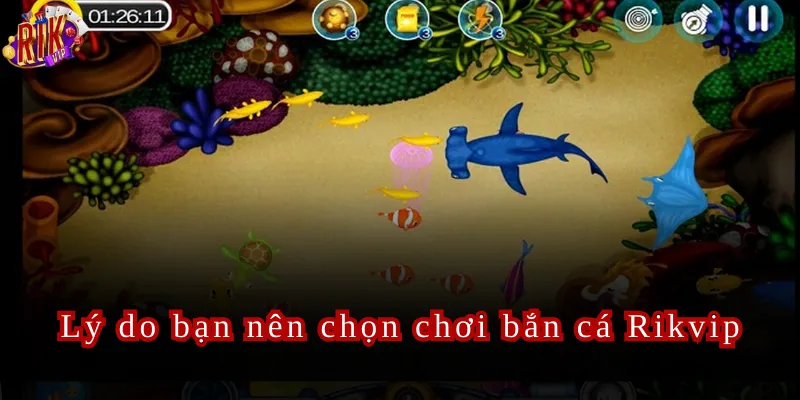 Lý do bạn nên chọn chơi bắn cá Rikvip
