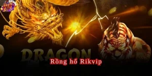 rồng hổ rikvip